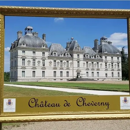Le Beauval Enchante Proche Zoo & Chateaux De La Loire Mareuil-sur-Cher Exterior photo