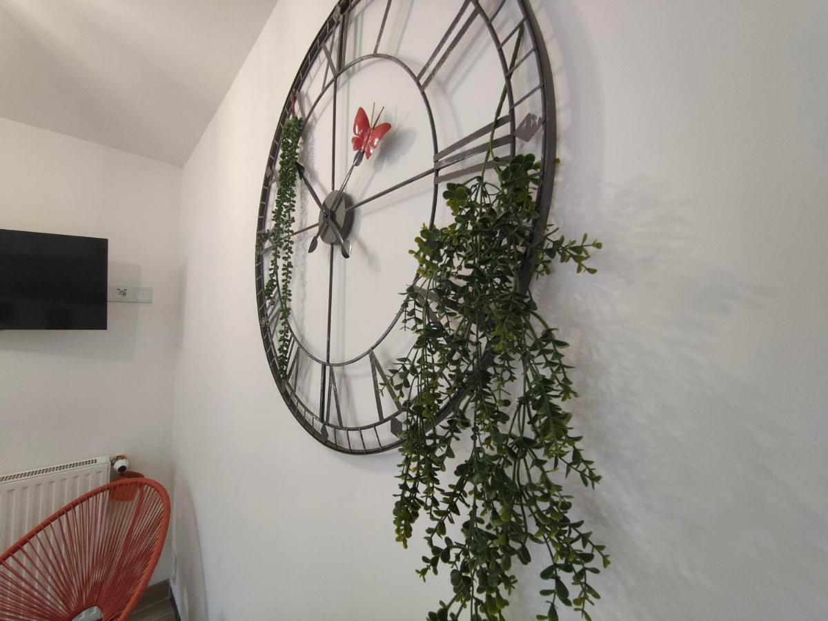 Le Beauval Enchante Proche Zoo & Chateaux De La Loire Holiday home
